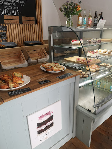 Comentarii opinii despre Torto