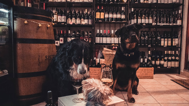 Wine institute - vinotéka a winebar - Praha