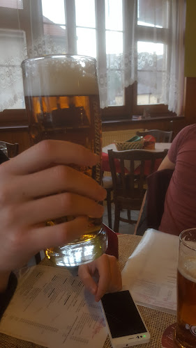 Comentarii opinii despre Hostinec U Dvora