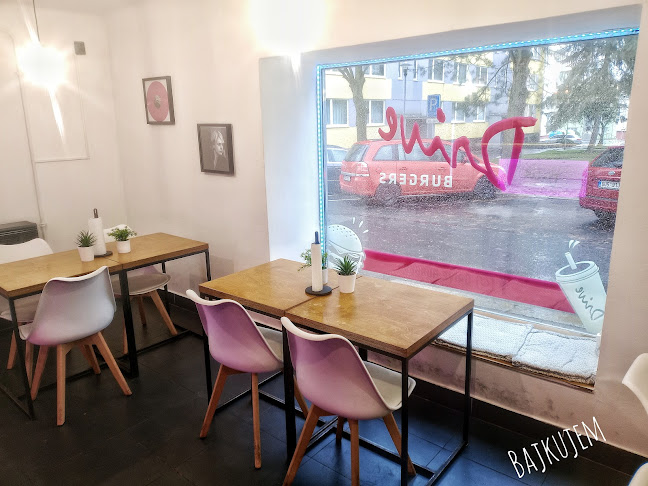 Opinii despre Drive Burgers în Rumburk 1 - Gastronomie a pohostinství