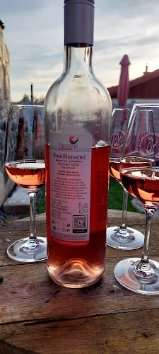 LEMMY CLUB - Gastronomie a pohostinství