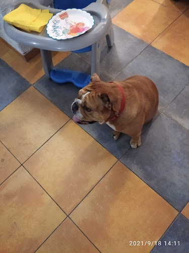 Comentarii opinii despre U sv. Urbana