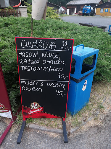 Comentarii opinii despre Kemp Nový rybník