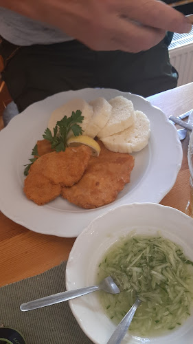 Restaurace / Penzion - Selský dvůr - Gastronomie a pohostinství