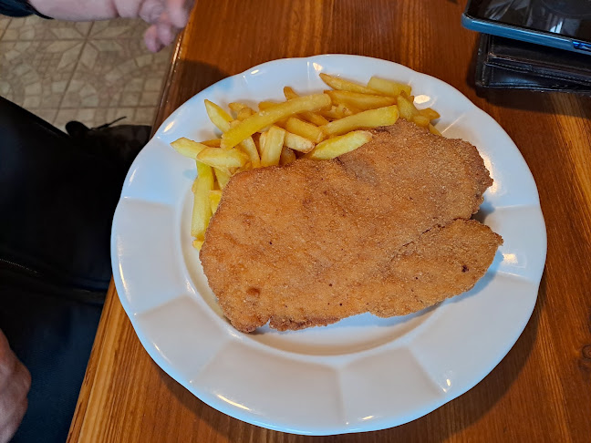 Opinii despre Restaurace a penzion U Hájků în Ústí nad Labem - Gastronomie a pohostinství