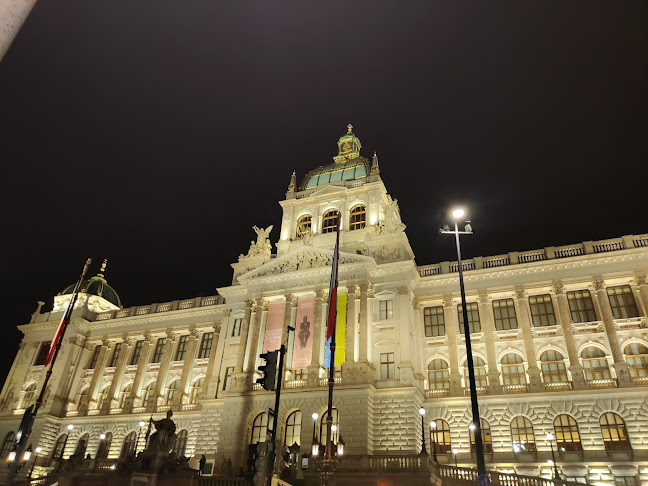 Comentarii opinii despre Mangal Restaurant