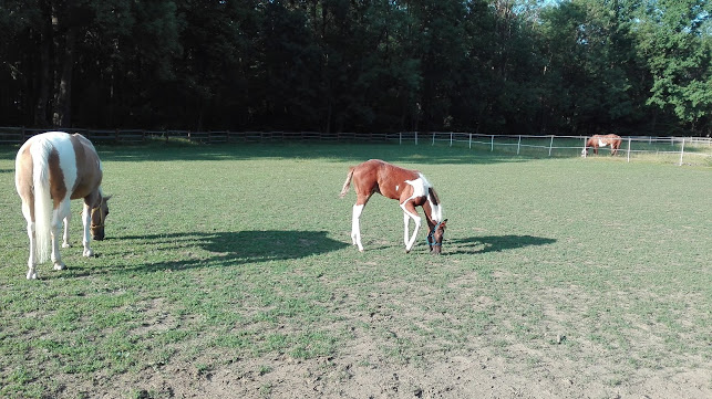 H + M Zlín A.s. - Gastronomie a pohostinství