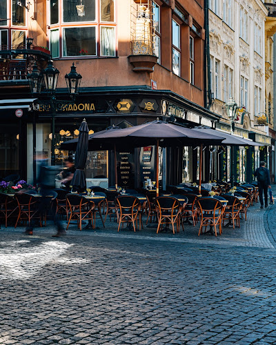 Opinii despre Černá Madona în Staré Město - Gastronomie a pohostinství