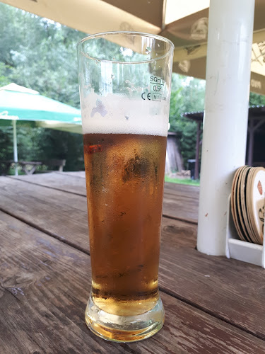 Opinii despre Saloon Šárka în Brno - Gastronomie a pohostinství