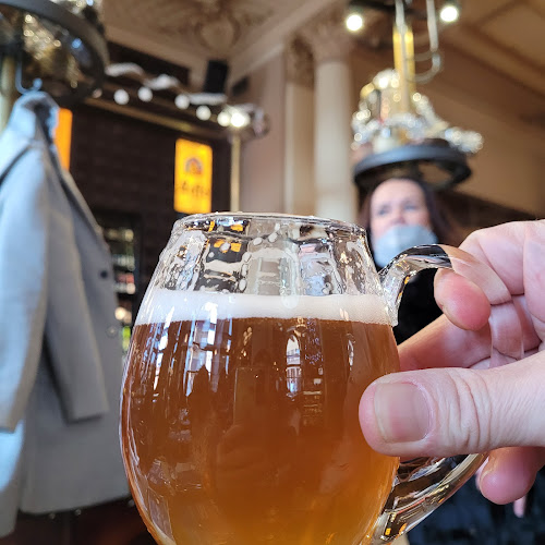 Comentarii opinii despre Bruxx