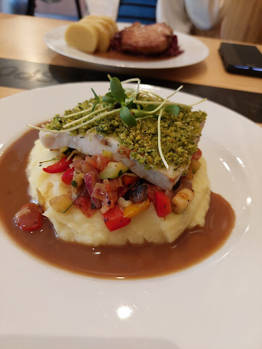 Restaurace Sport - Hradec nad Moravicí