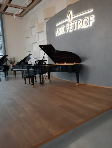 Comentarii opinii despre Petrof Café