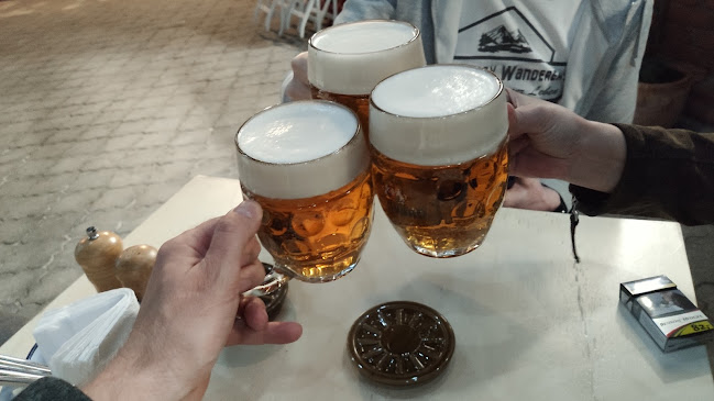 Sokolská tř. 871/6, 702 00 Moravská Ostrava a Přívoz