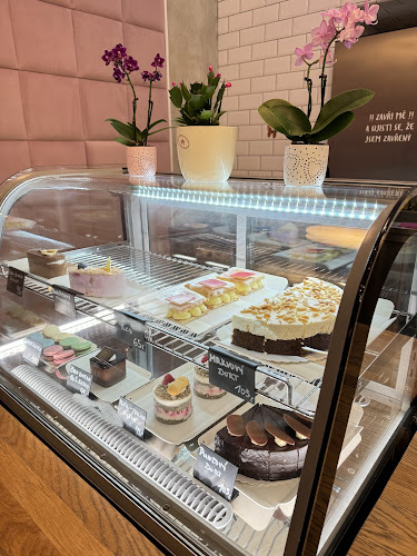 Slezská 15, 120 00 Praha 2-Vinohrady