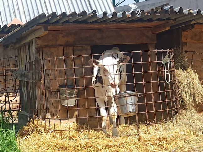 Mlékárna u Macurů - Kunčice pod Ondřejníkem