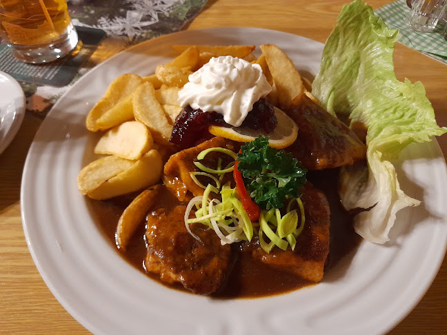 1A, Hořejší 2007, 323 00 Plzeň 1