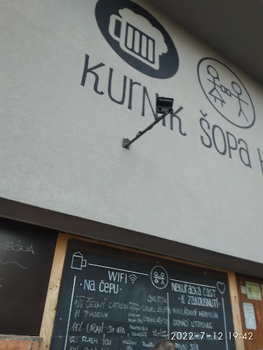 RESTAURACE U ZLATÉHO LVA - Ostrava