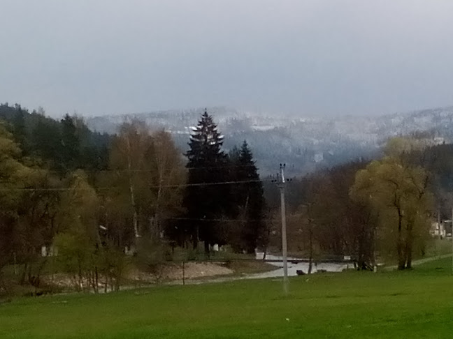 342 01 Dlouhá Ves-Sušice 1