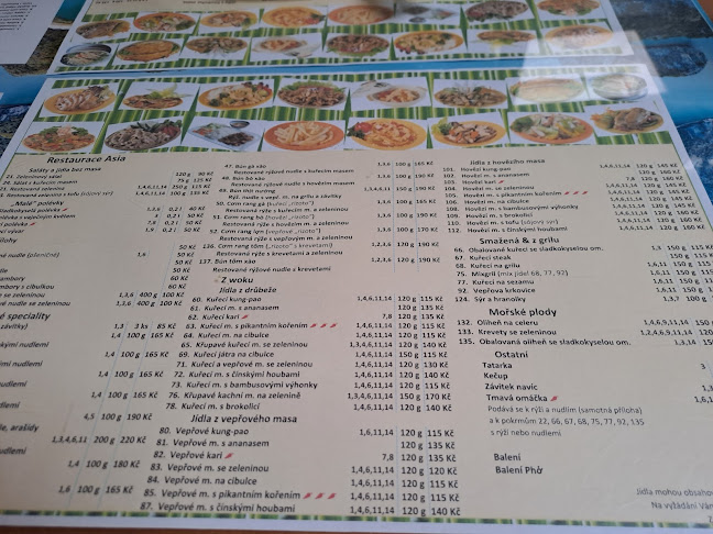 Opinii despre Restaurace Asia în Znojmo - Gastronomie a pohostinství