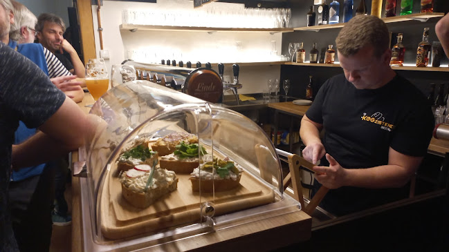 Comentarii opinii despre KEGzistence