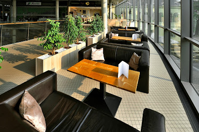 Hajja Caffé Děčín