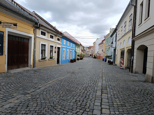 ZTRACENÝ BAR - Gastronomie a pohostinství
