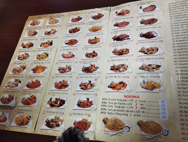 Čínské bistro Man Yi Ge - Gastronomie a pohostinství