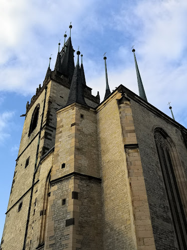 Comentarii opinii despre Skáld Coffee