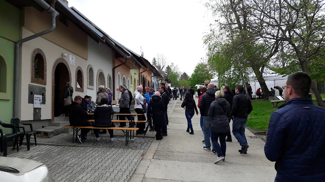 Comentarii opinii despre Synot