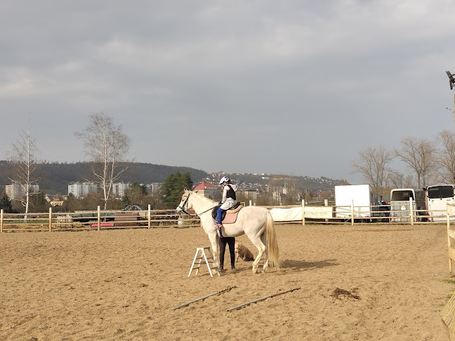 Comentarii opinii despre Říční lázně