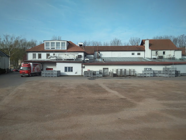 Steinhauser s.r.o. - Gastronomie a pohostinství