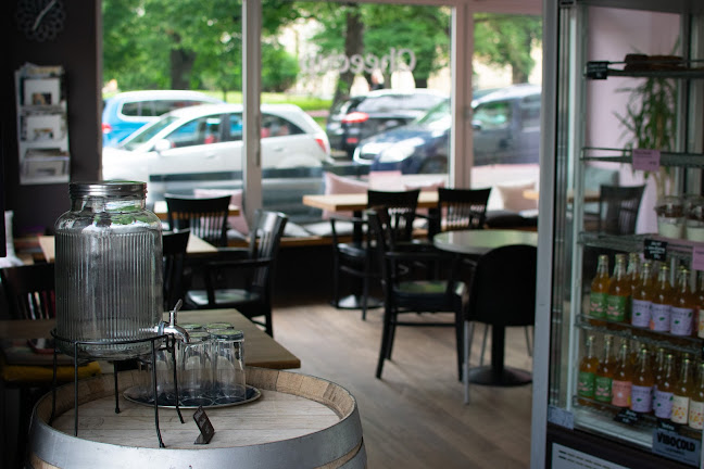 Comentarii opinii despre Cheecup