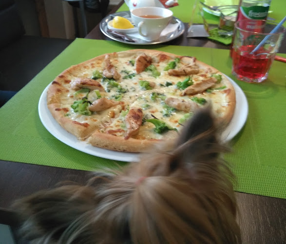 Pizzeria Ponko - Gastronomie a pohostinství