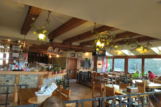 Opinii despre Restaurace Rozhled în Teplice - Gastronomie a pohostinství