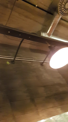 Comentarii opinii despre Amano