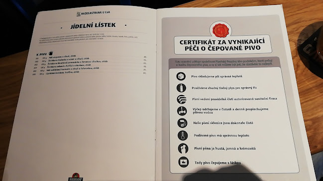 Comentarii opinii despre Radegastovna U Lva