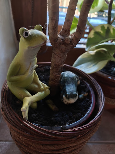 Hospůdka Na Žabárně