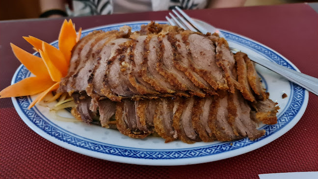 12, Kyjevská 509, Bubeneč, 160 00 Praha 6