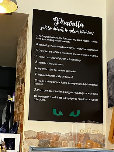 Comentarii opinii despre Kočičí kavárna