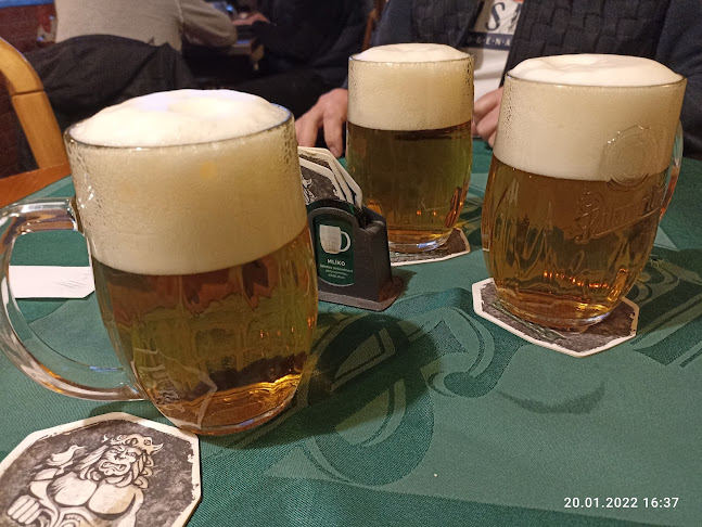 Opinii despre Plzeňská Pivnice II. în Kroměříž - Gastronomie a pohostinství