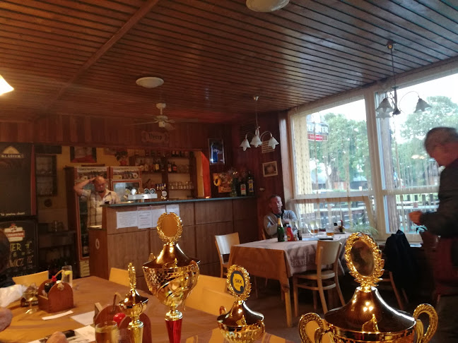 Opinii despre Restaurace Rumcajs în Jičín - Gastronomie a pohostinství