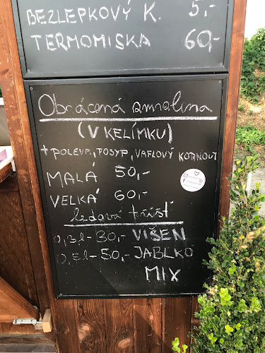 Zmrzlinový domek - točená zmrzlina, ledová tříšť - Gastronomie a pohostinství