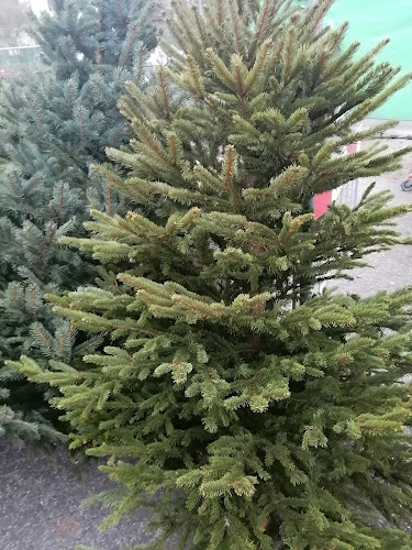 Sokolovská 986/304a, 190 00 Praha 9