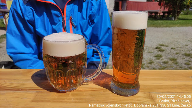 Opinii despre Za větrem în Plzeň - Gastronomie a pohostinství