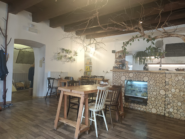 Comentarii opinii despre V lese