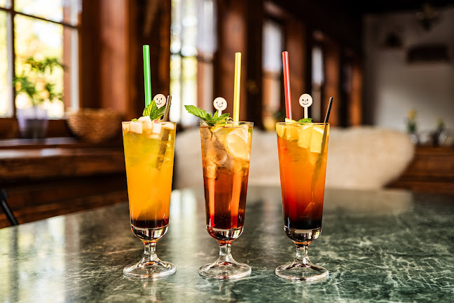 Opinii despre Restaurace Pizzerie Praděd în Karlov pod Pradědem - Gastronomie a pohostinství