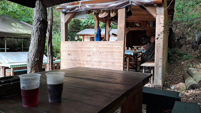 Comentarii opinii despre Občerstvení Zelená rokle