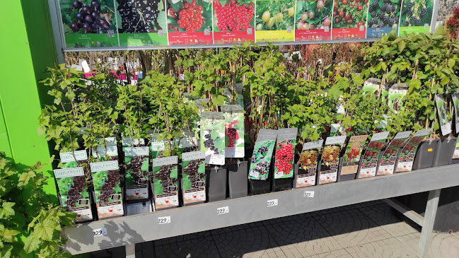 Café Dvořák a syn