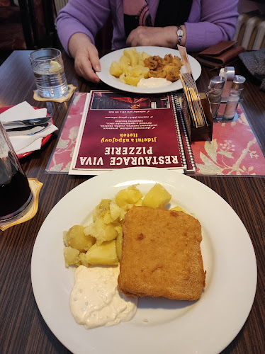 VIVA restaurace - Gastronomie a pohostinství