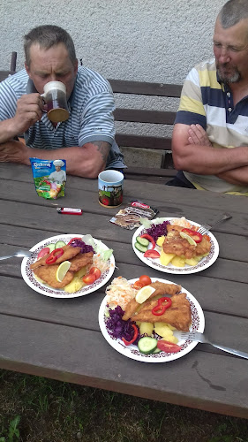 Comentarii opinii despre Restaurace a ubytování - Šedivec